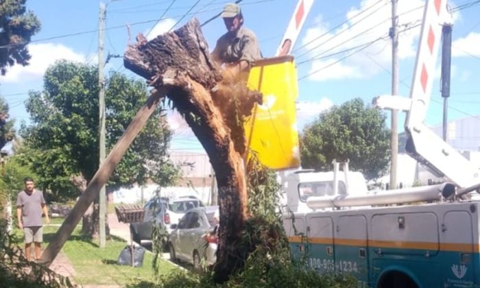 El Municipio varelense sigue con las tareas post-tormenta durante el domingo